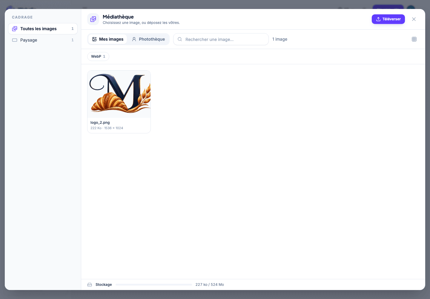 Bibliothèque de médias Wobelio sur ordinateur avec les images du site.